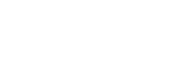 WNL World Ninja League
